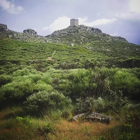 Maitea- Aita- Sierra * Gata